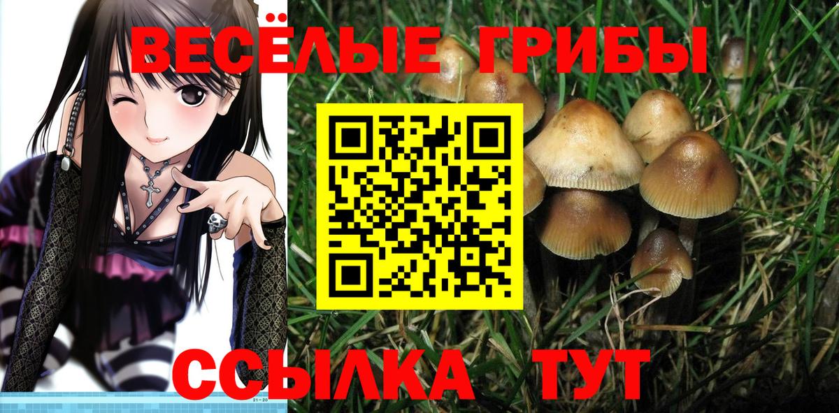 Казань  Галлюциногенные грибы GOLDEN TEACHER  Вход с VPN  Галлюциногенные грибы мицелий 